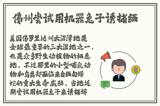 91热在线精品国产一区